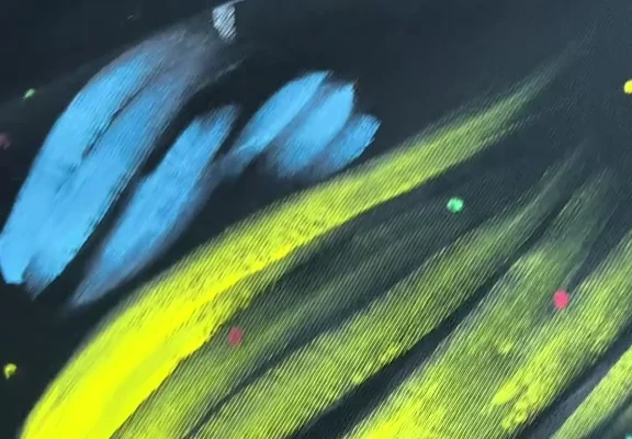 Close-up of multicolor print on knit fabric